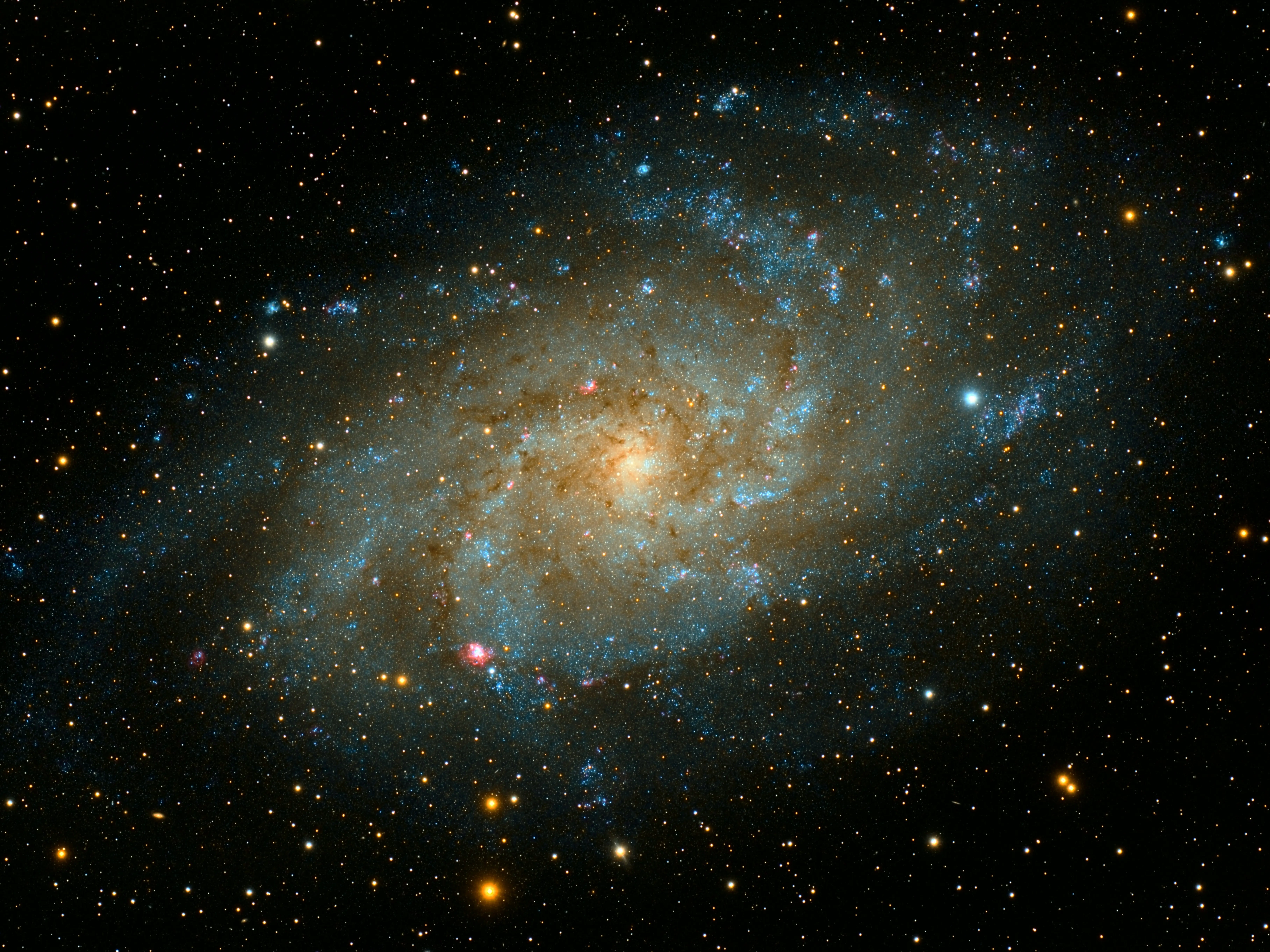 Scientists create galaxies in laboratory - Watch and hear them born and evolve | VIDEO Scientists create galaxies in laboratory - Watch and hear them born and evolve | VIDEO