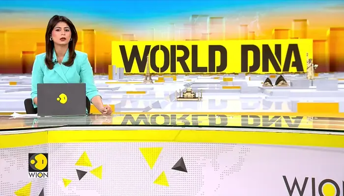 J&K Crackdown On Institutions Linked To LeT: Security Forces Tighten Anti-Terror Net 