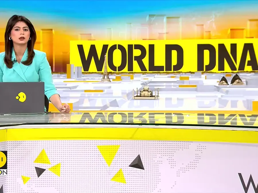 J&K Crackdown On Institutions Linked To LeT: Security Forces Tighten Anti-Terror Net 