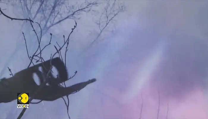 Iran’s Ukraine War Playbook: Drones, AI & a New Battle Strategy