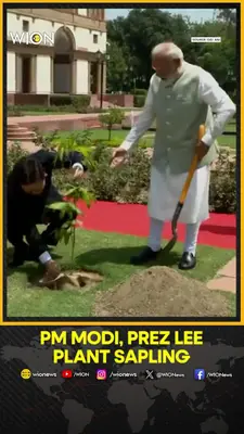Wion News