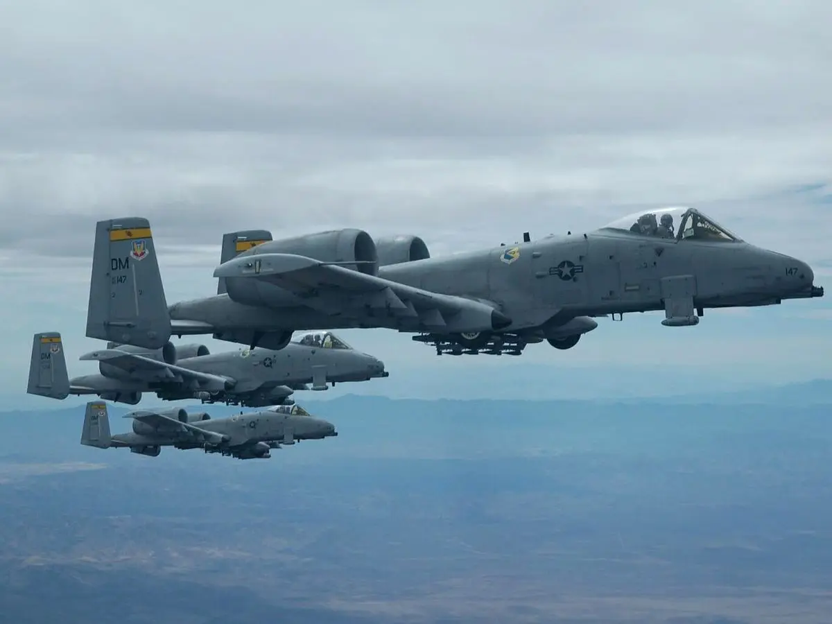 Combat Role and Firepower