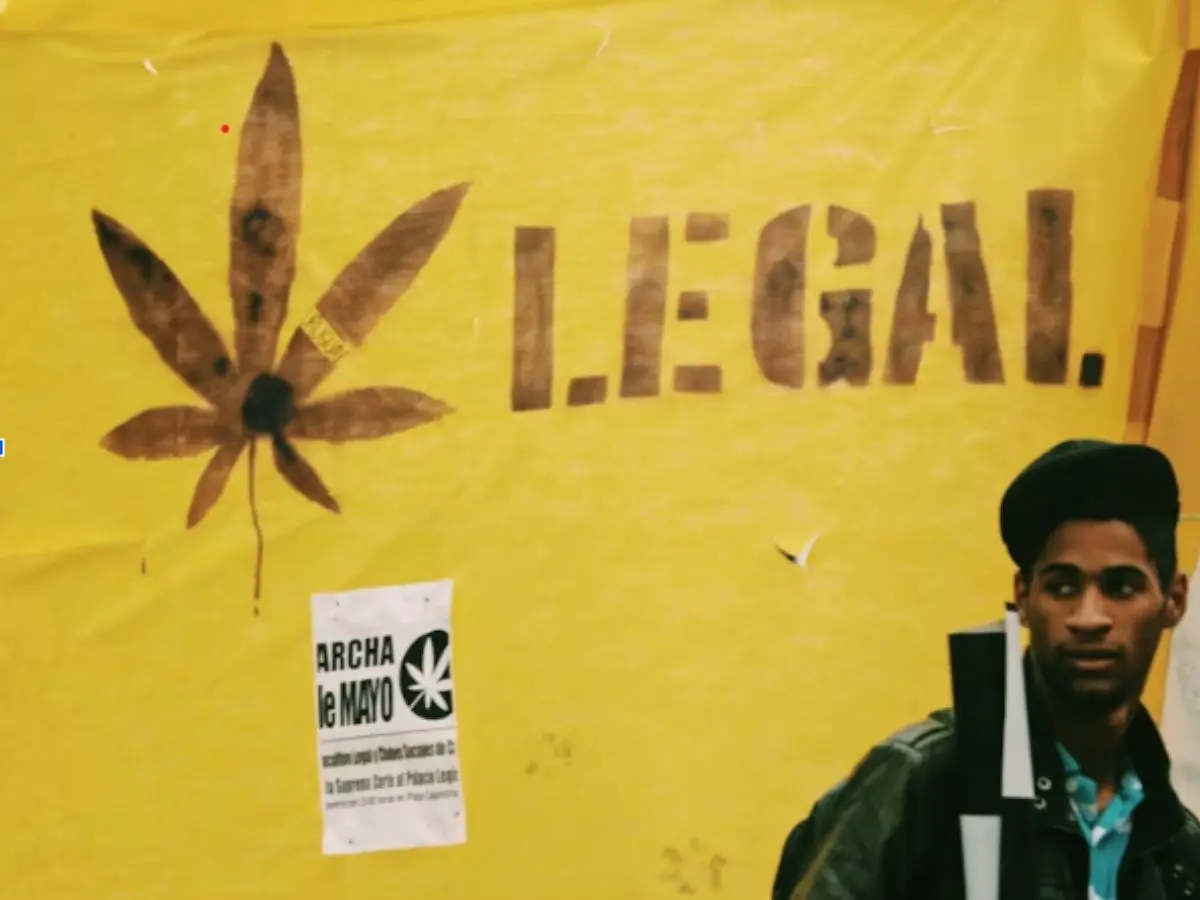 Pot Policy