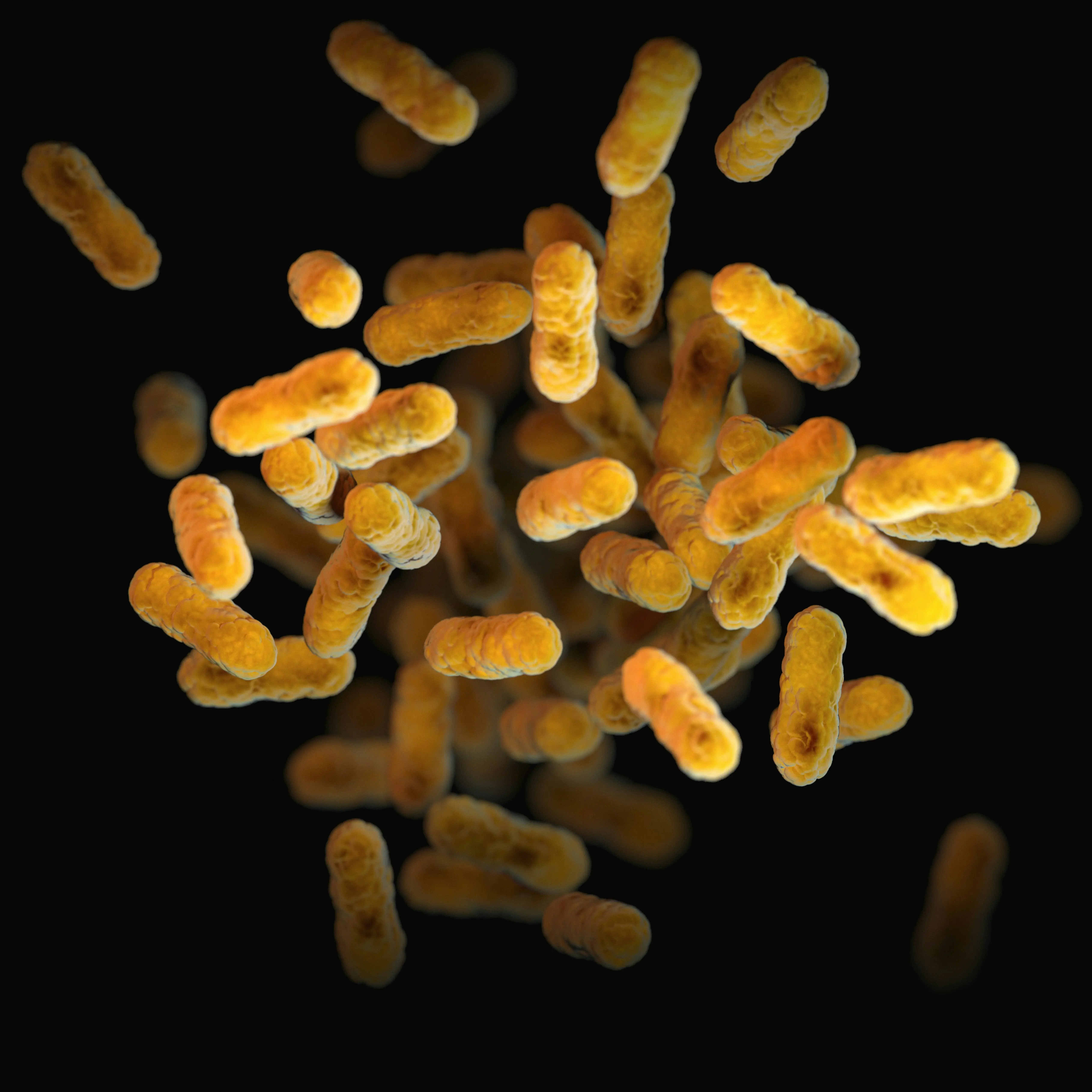 Symptoms of Burundi mystery disease