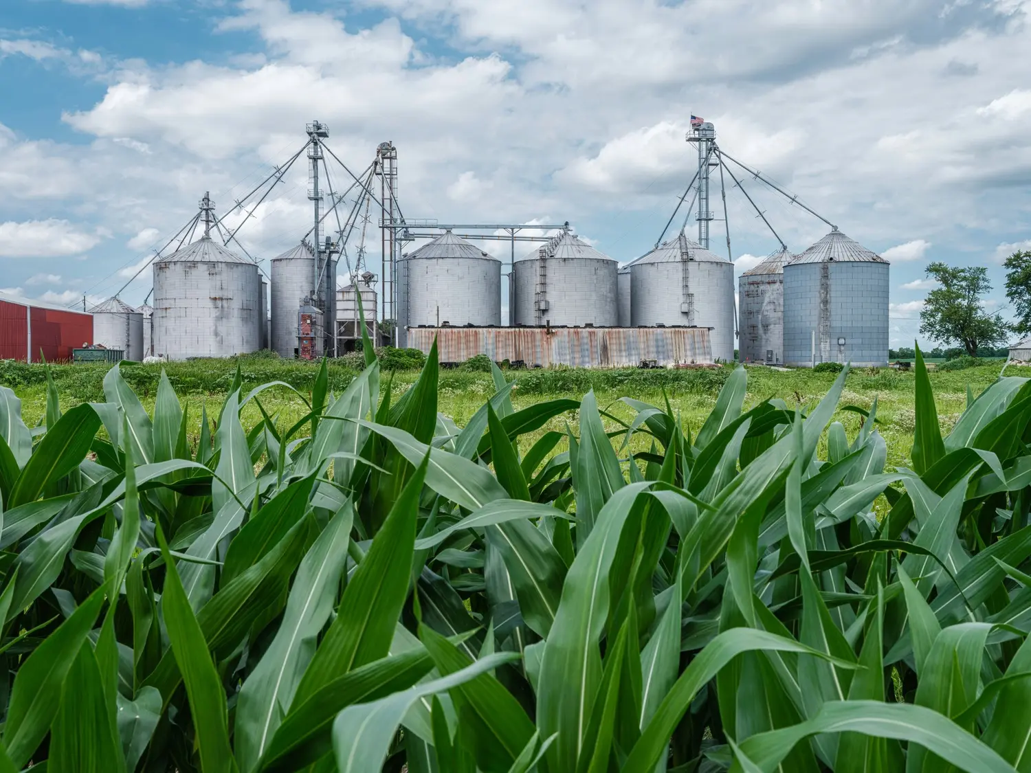How Ethanol is made?