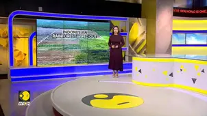 Indonesia Rainforest: Major Orangutan Habitat Hit in Indonesia's Borneo