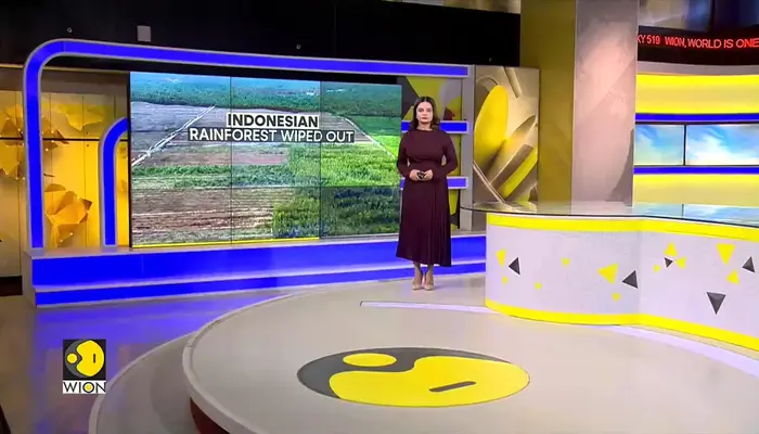 Indonesia Rainforest: Major Orangutan Habitat Hit in Indonesia's Borneo