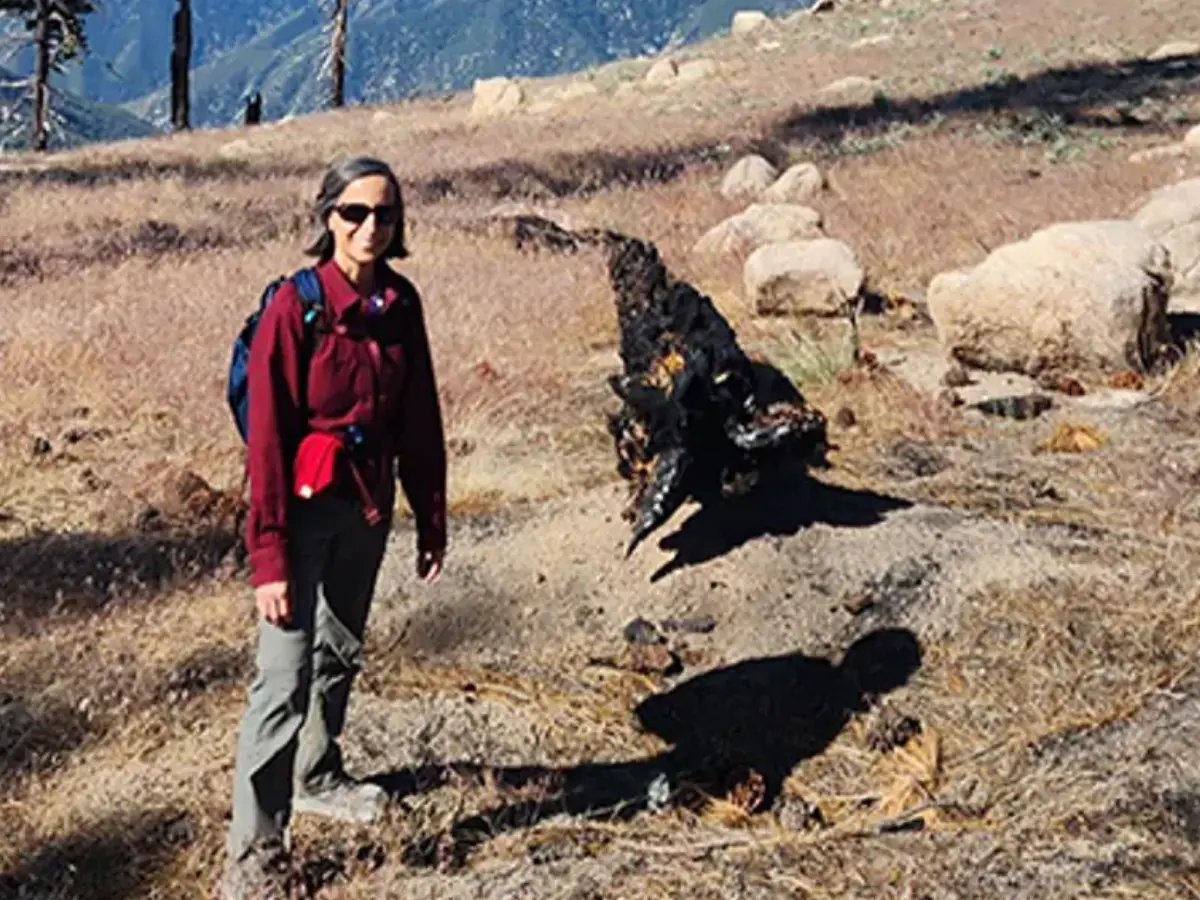 Two Jet Propulsion Laboratory (JPL) scientists also dead