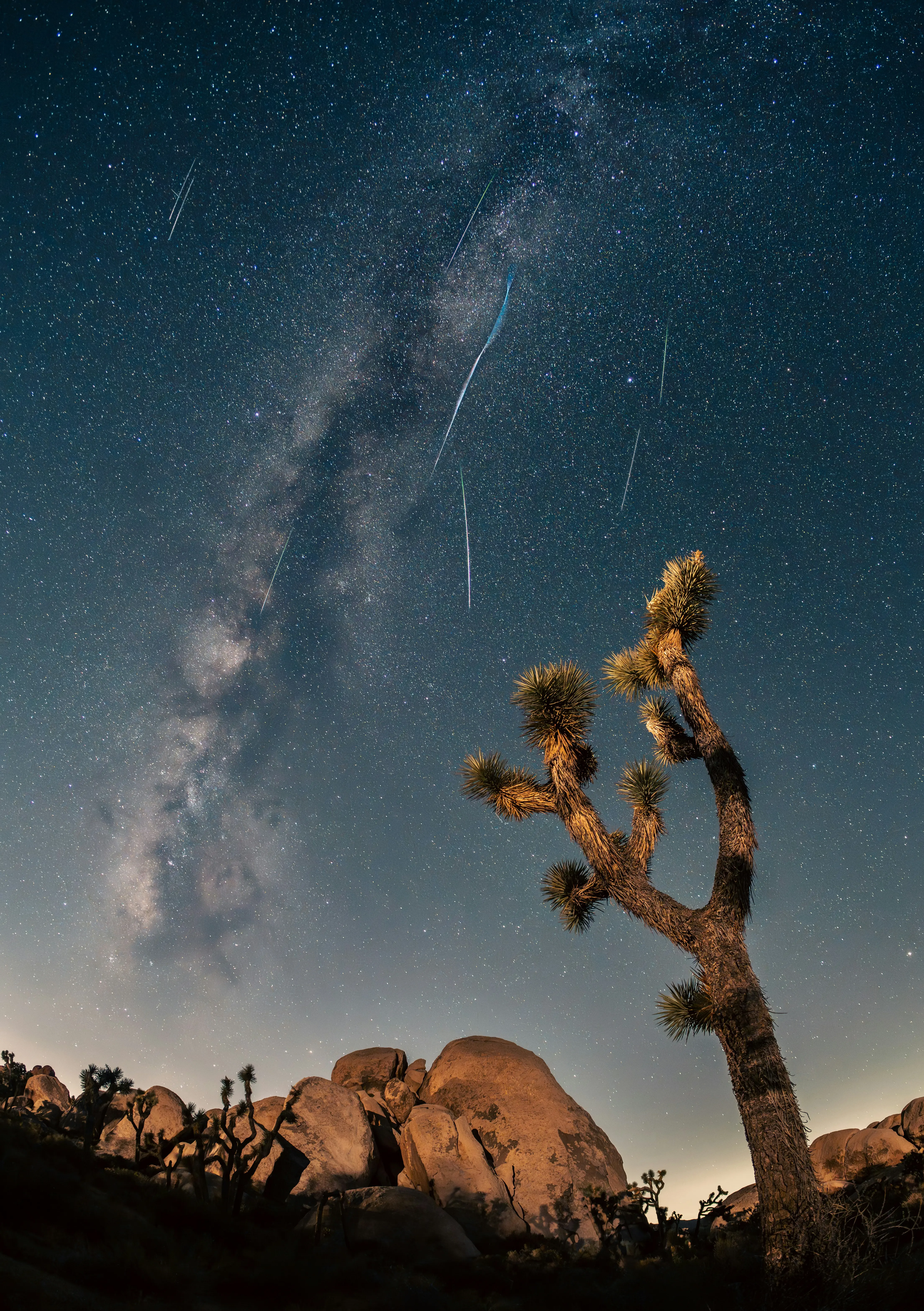 How to see Lyrid meteor shower in India
