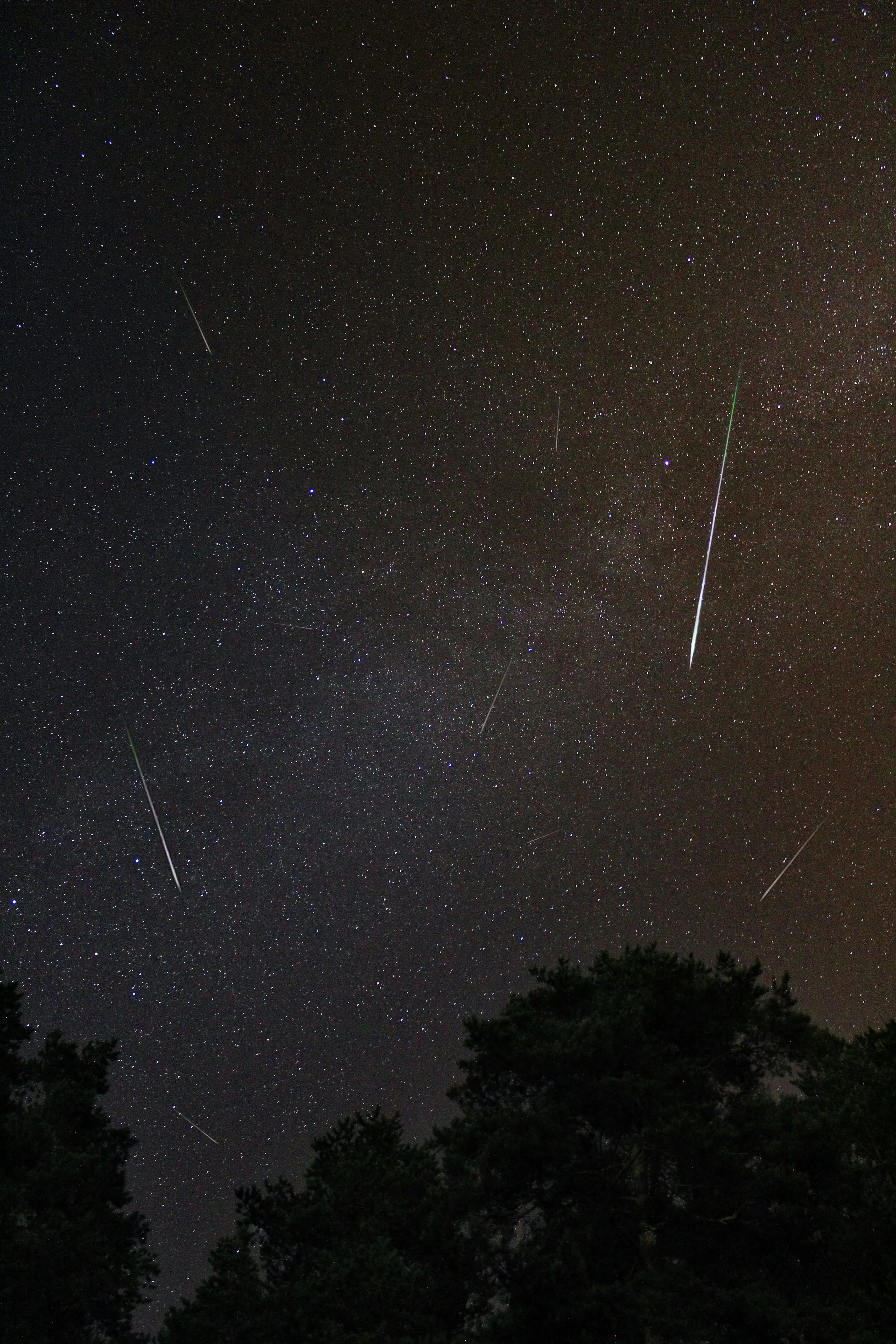 Lyrids and the constellation Lyra