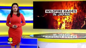 Japan Wildfire: Massive Blaze Engulfs Rural Otsuchi Area