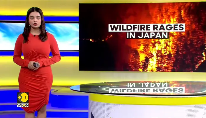 Japan Wildfire: Massive Blaze Engulfs Rural Otsuchi Area