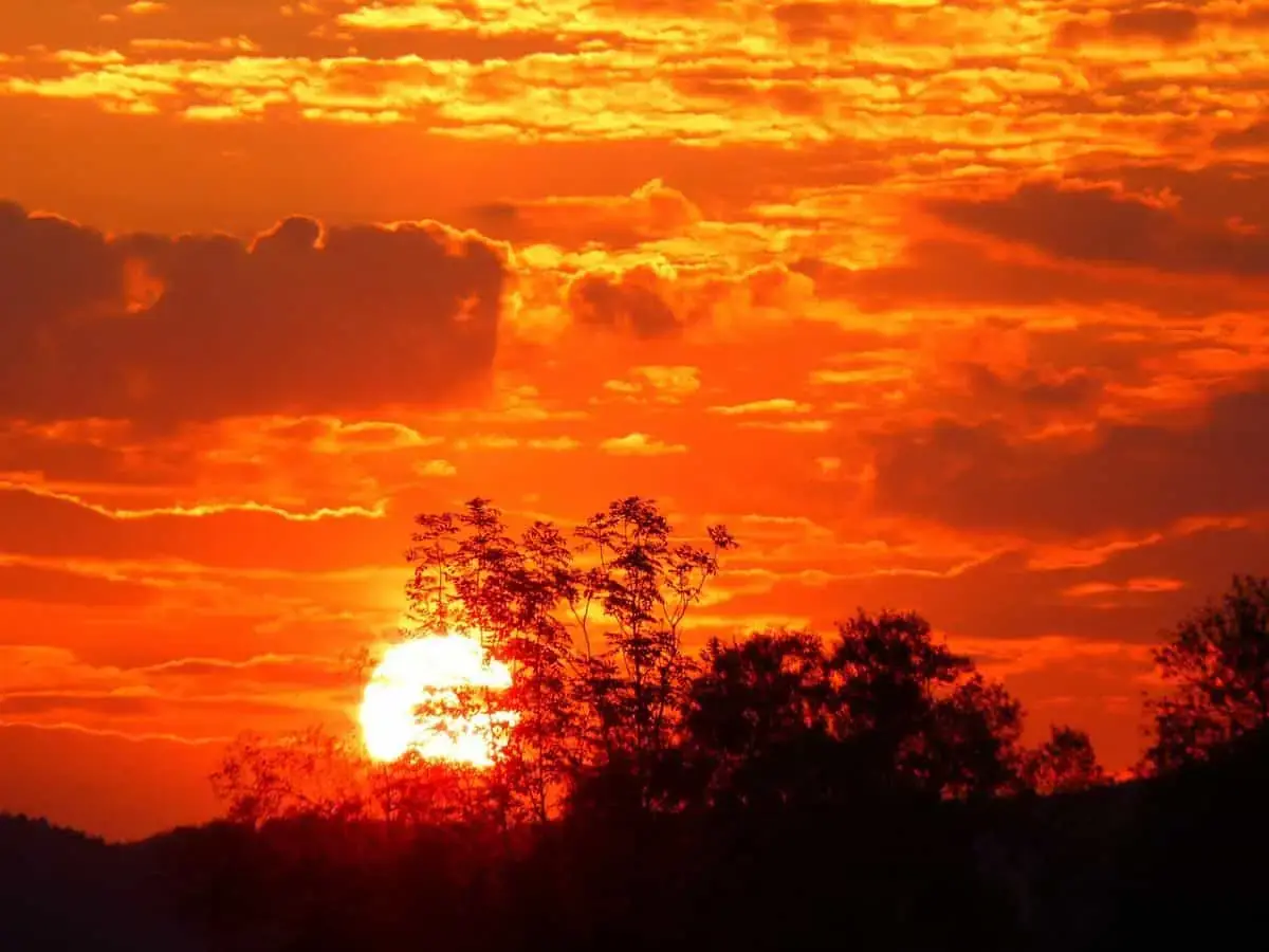 Telangana heatwave alert: Temperatures to hit 45°C, red alert issued in 19 districts Telangana heatwave alert: Temperatures to hit 45°C, red alert issued in 19 districts