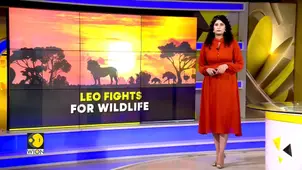 Leonardo DiCaprio Defends Nature 