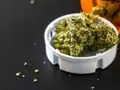 World’s most widely used illicit drug: What is Marijuana and why its popularity keeps rising