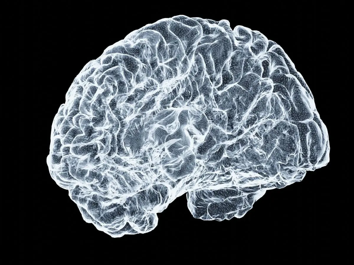 Huntington’s Disease