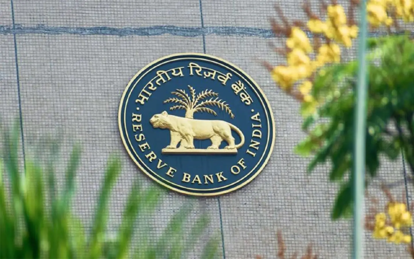 RBI cancels licence of Paytm Payments Bank, to seek its winding up in court