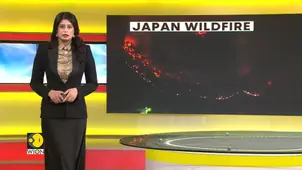 Japan Wildfire: Otsuchi Under Evacuation Order