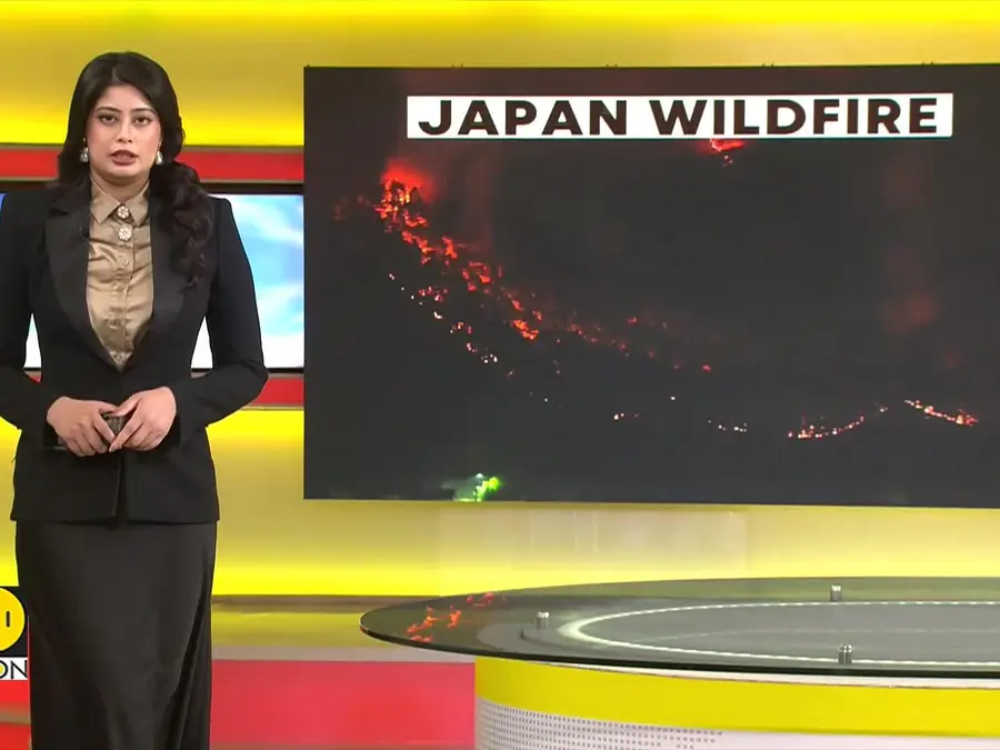 Japan Wildfire: Otsuchi Under Evacuation Order
