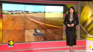 New Tech Tracks Illegal Deforestation Through Soybean Supply Chains 