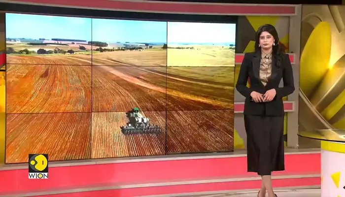 New Tech Tracks Illegal Deforestation Through Soybean Supply Chains