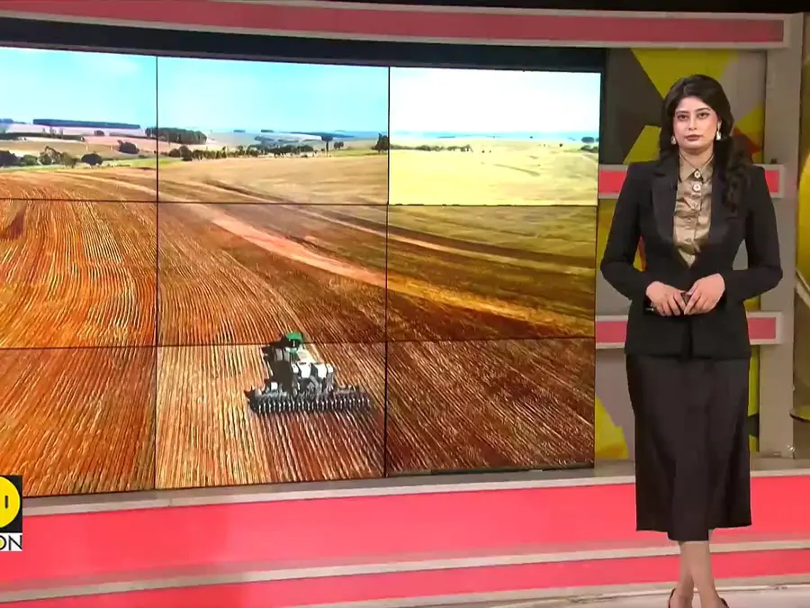 New Tech Tracks Illegal Deforestation Through Soybean Supply Chains 
