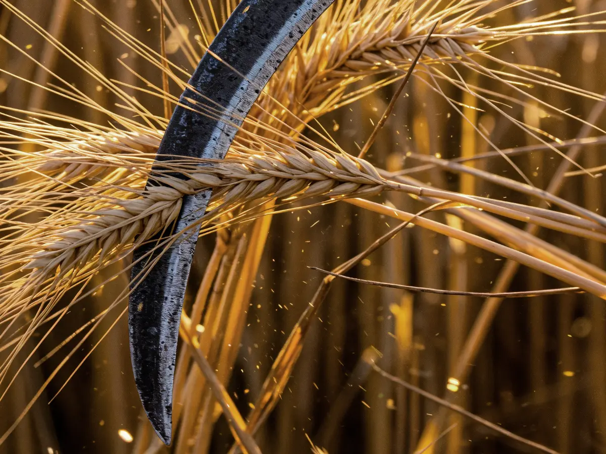 Wife slashes husband’s neck for asking for chicken curry in India’s Telangana