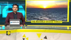 Arabian Sea Faces Extreme Temperature Surge, Marine Life Under Stress