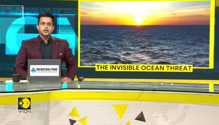 Arabian Sea Faces Extreme Temperature Surge, Marine Life Under Stress