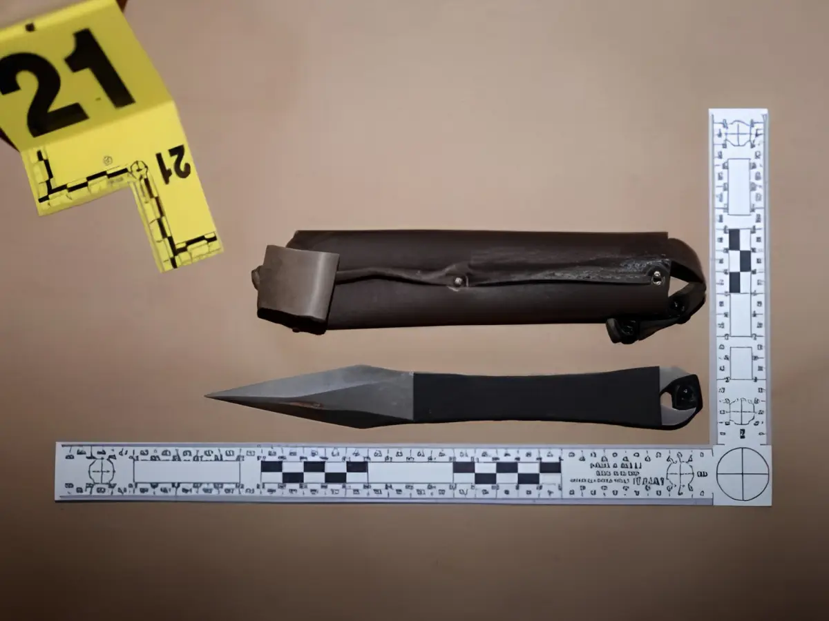 Weapons recovered at the scene