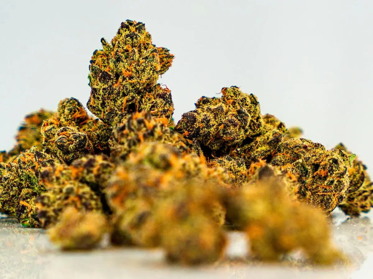 Cannabis strain identified