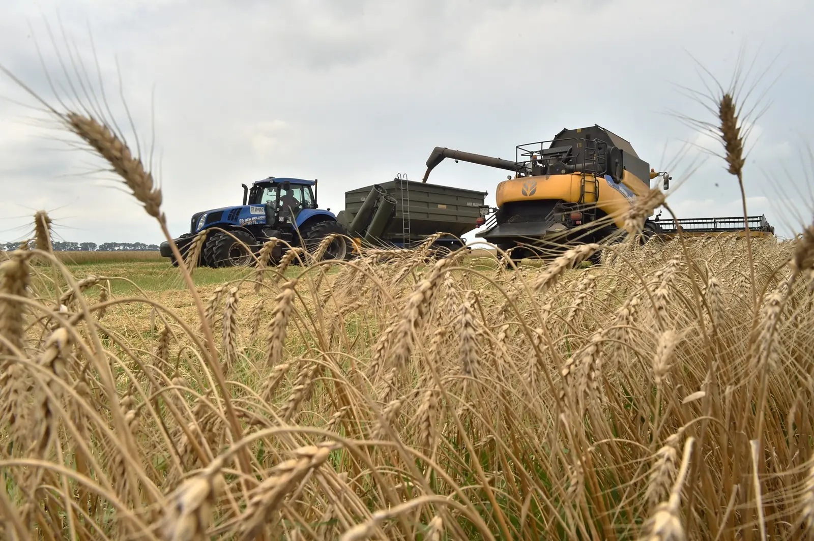 Israel seeks proof after Ukraine accuses it of buying ‘stolen grain’ from Russia