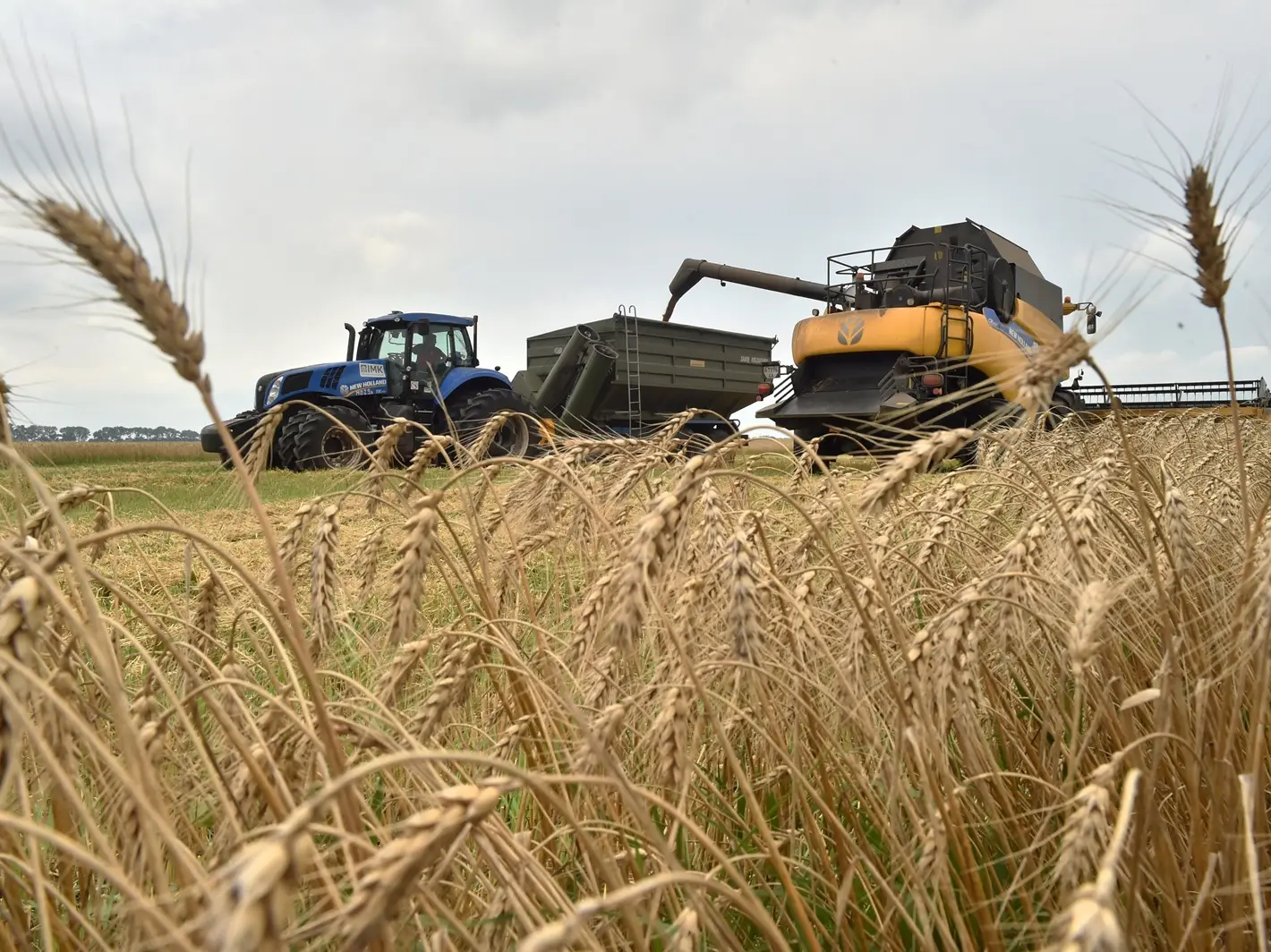 Israel seeks proof after Ukraine accuses it of buying ‘stolen grain’ from Russia Israel seeks proof after Ukraine accuses it of buying ‘stolen grain’ from Russia