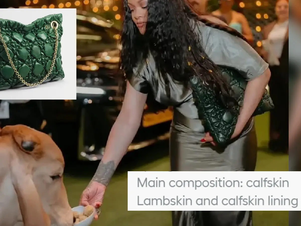 Rihanna feeds cow while holding Rs 4 lakh bag made of ‘calfskin’; netizen call it,'peak hypocrisy!'