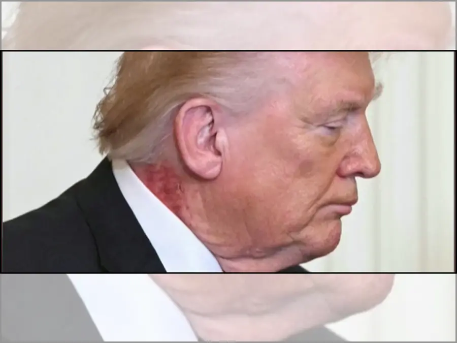 Trump gives bizarre explanation on if he would wear bulletproof vest following WHCA shooting: 'I don't know if...' - VIDEO