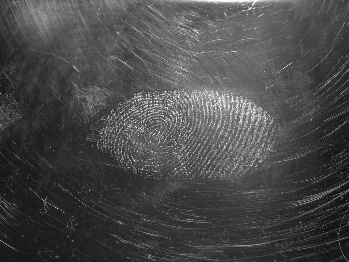 Tiny fingerprint can solve 2,000-year-old mystery of who attacked a Danish island