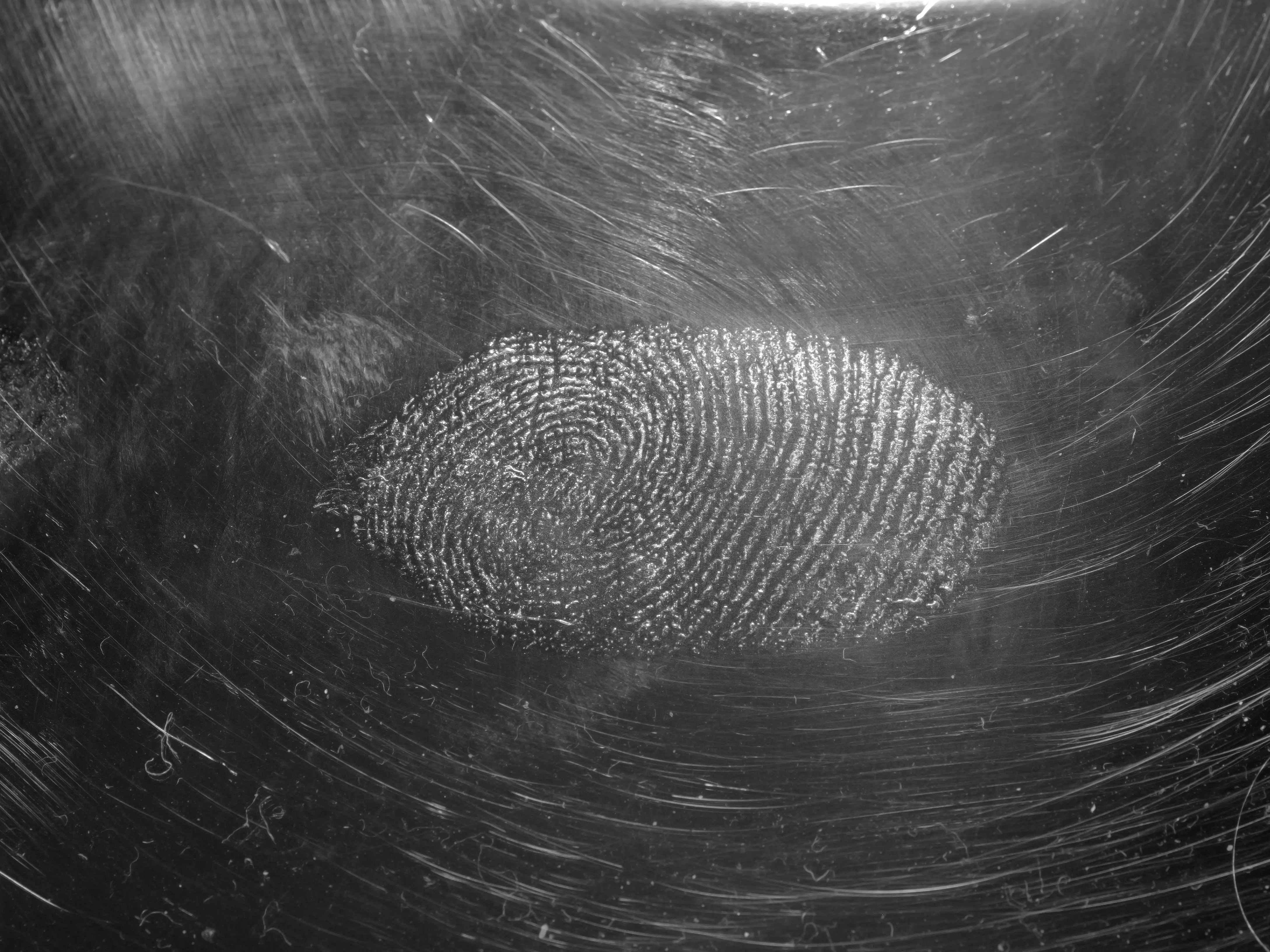 Tiny fingerprint can solve 2,000-year-old mystery of who attacked a Danish island Tiny fingerprint can solve 2,000-year-old mystery of who attacked a Danish island