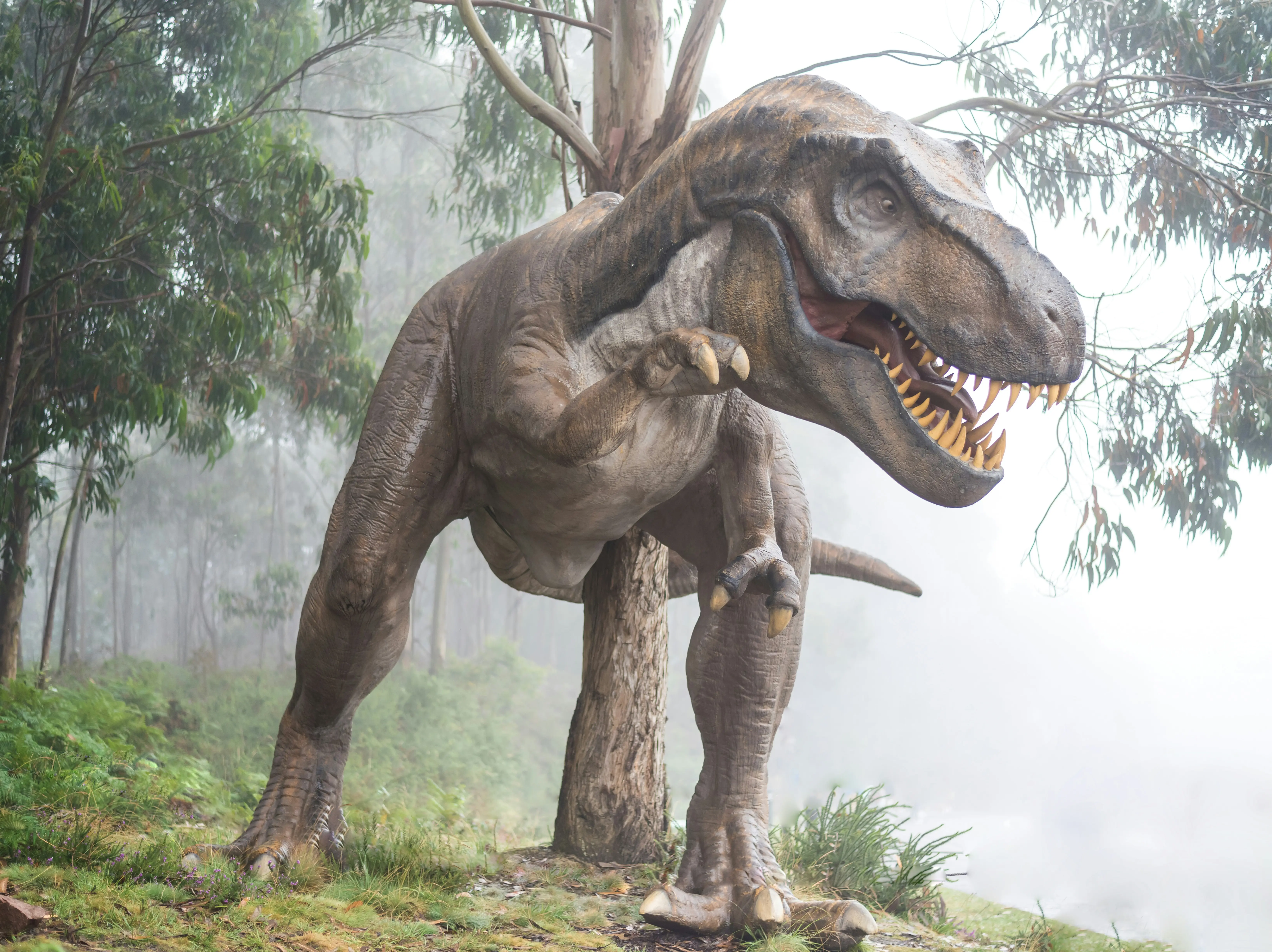 Dinosaurs are responsible for rapid ageing and short lifespans in humans