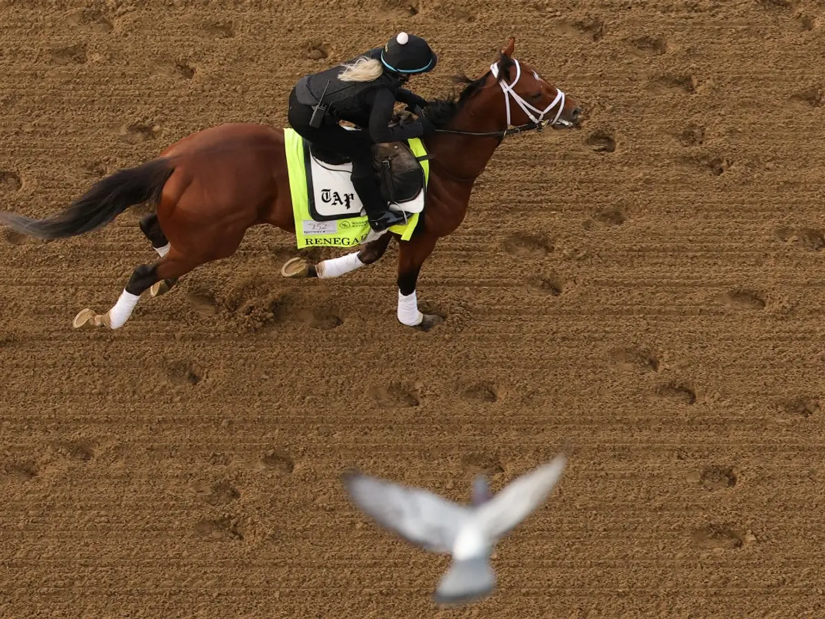 Kentucky Derby 2026: Complete guide to race day schedule, timings, horse lineup and where to watch