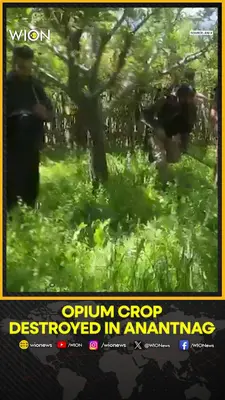 Wion News