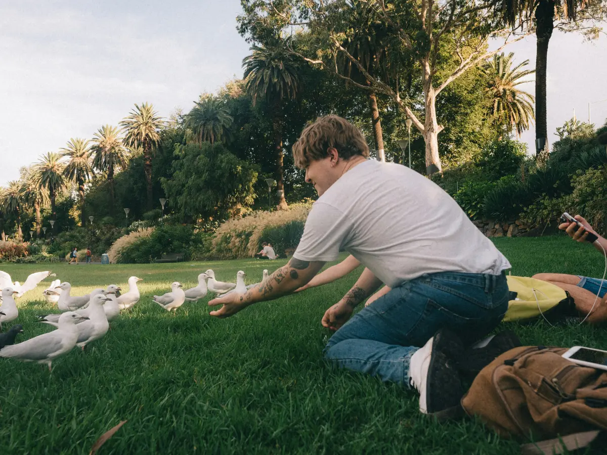 Birds have a clear preference when it comes to choosing between men and women