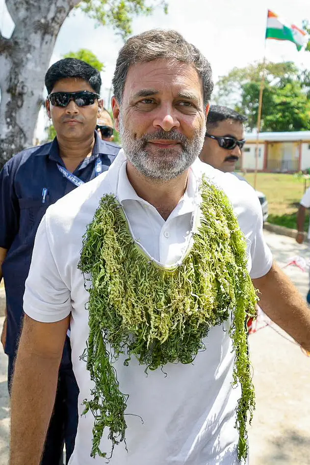 ‘Inching closer to the century’: BJP takes a dig at Rahul Gandhi as Congress struggles in 2026 assembly polls in 5 states