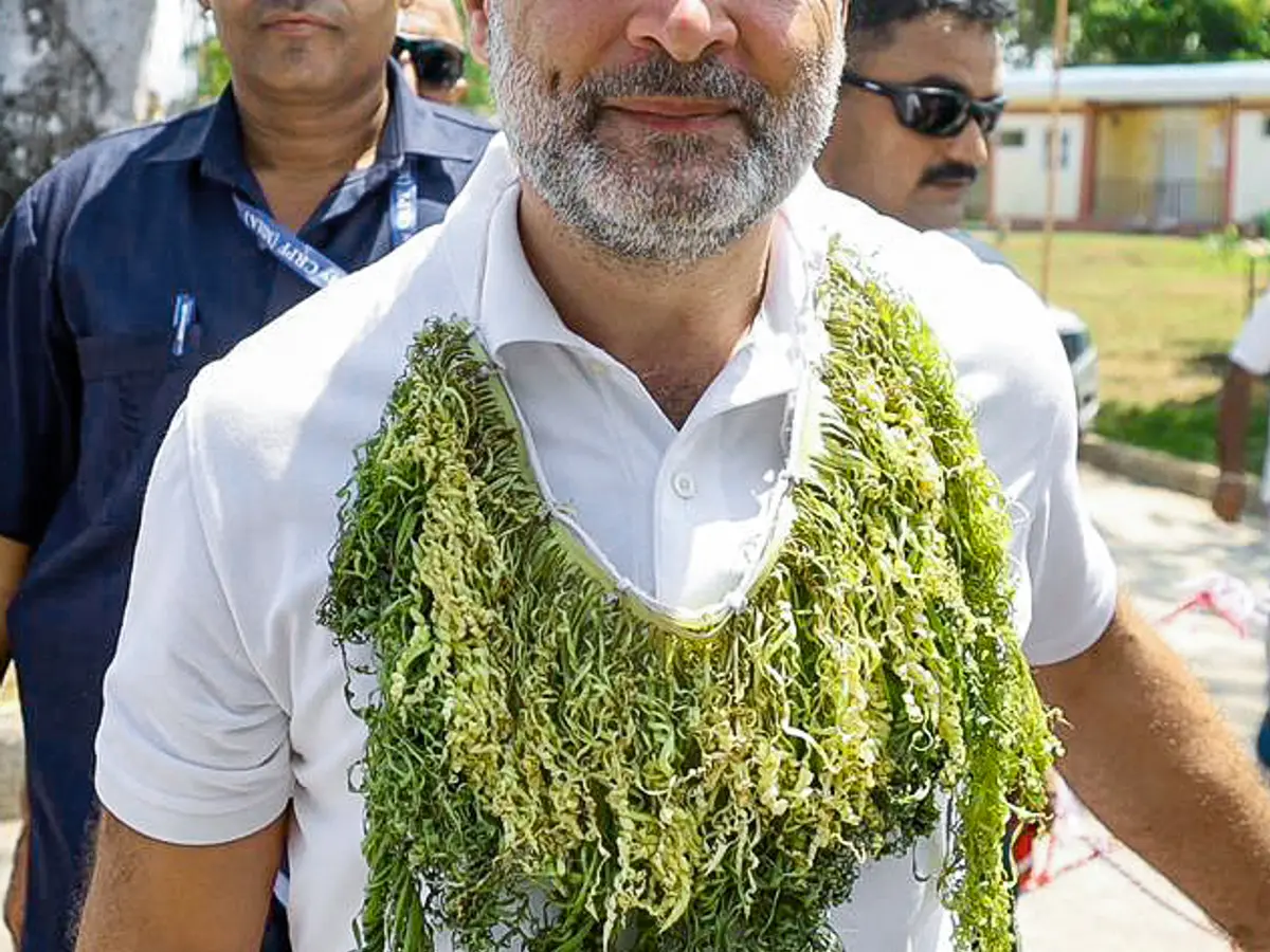 ‘Inching closer to the century’: BJP takes a dig at Rahul Gandhi as Congress struggles in 2026 assembly polls in 5 states