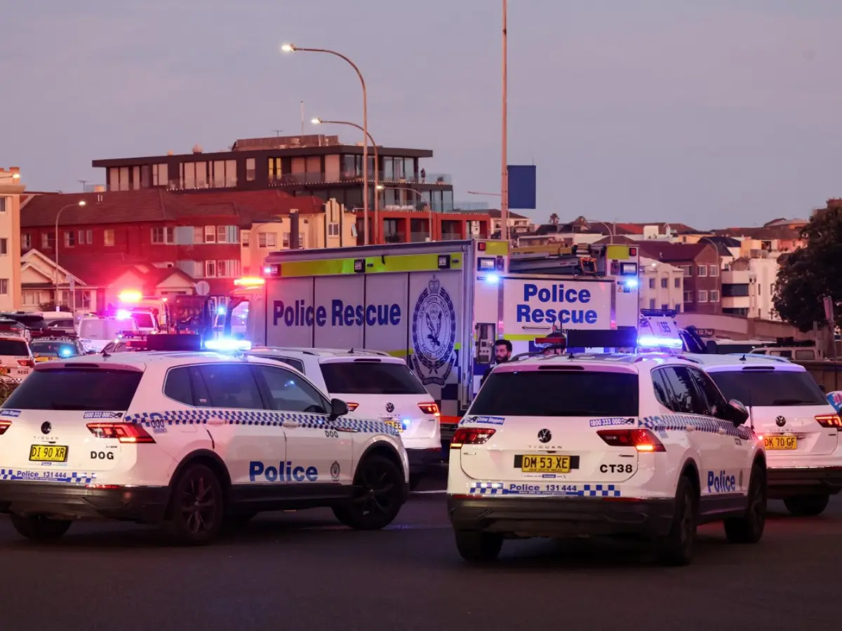 Fatal Bondi Beach attack: What happened?