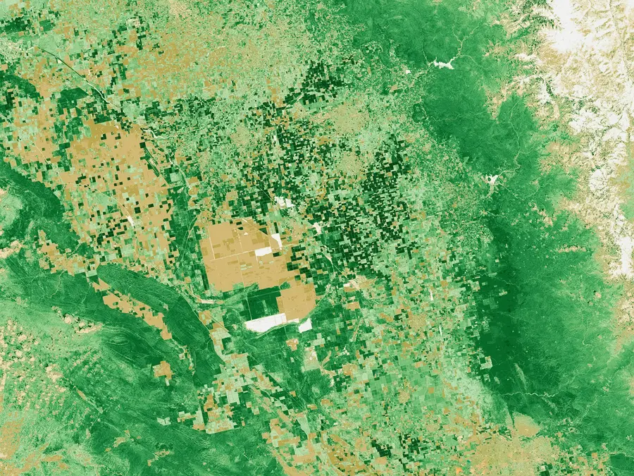 A California lake vanished in the 19th century and reappeared 130 years later