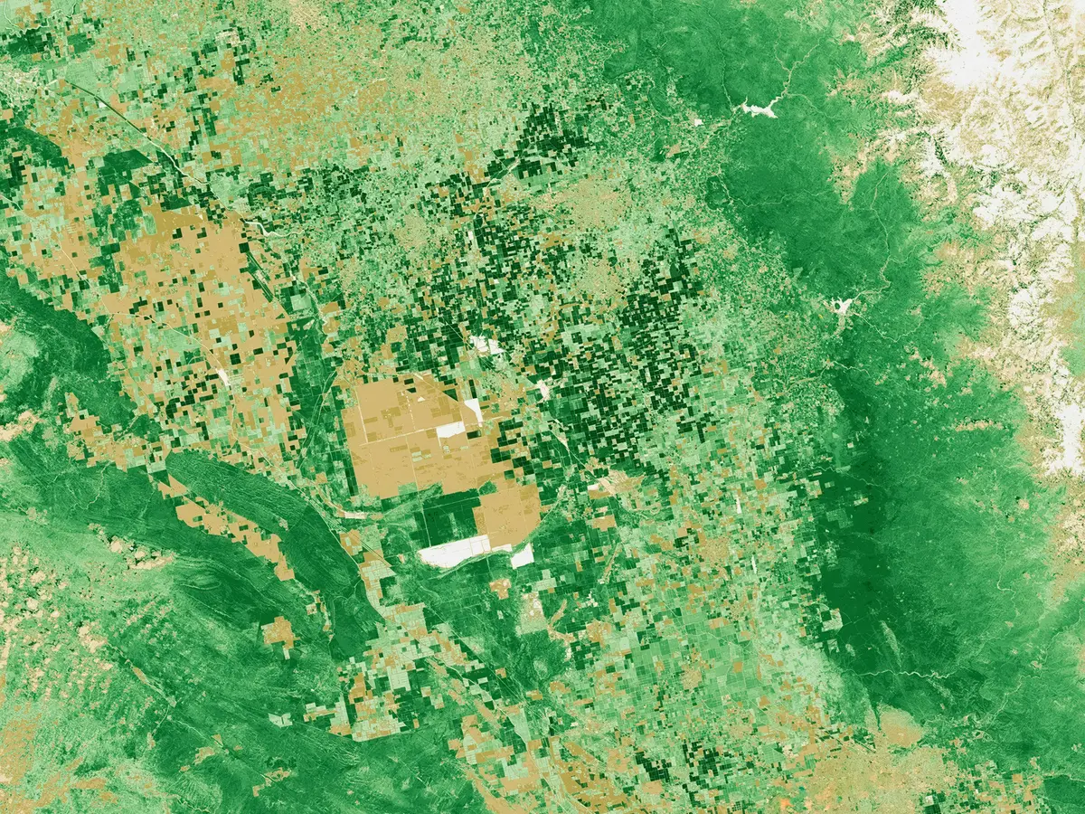 California lake vanished, reappeared 130 years later, and is on the verge of dying out again