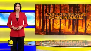 Russia Wildfires: Blaze Reduces Homes to Ashes in Tomsk Region