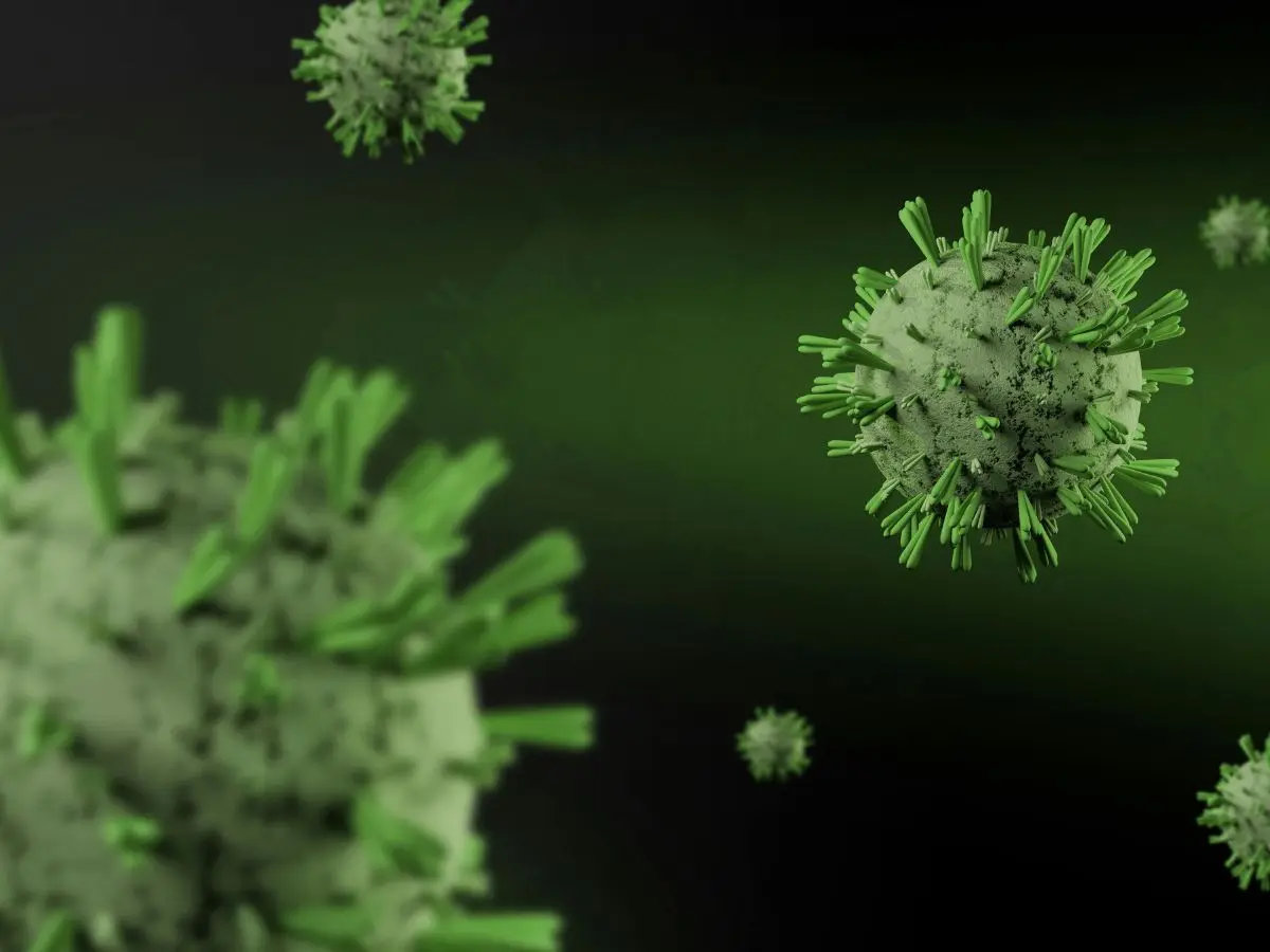 Hantavirus outbreak leaves multiple dead: Here is what you need to know about the virus
