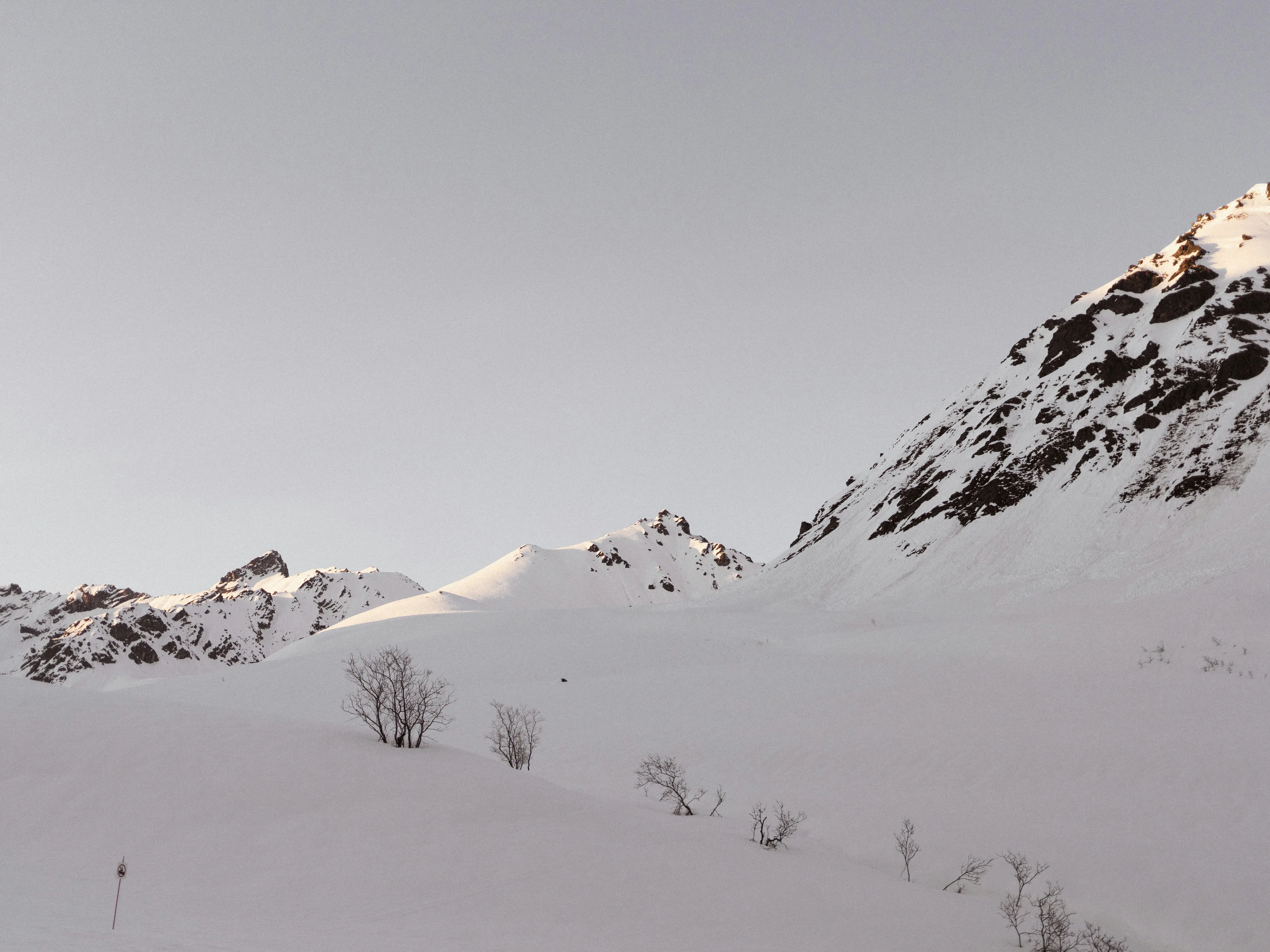 Massive 500-meter 'megatsunami' hits Alaska Fjord after part of mountain collapses Massive 500-meter 'megatsunami' hits Alaska Fjord after part of mountain collapses