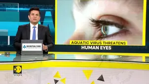 Study: Virus From Aquatic Animals Can Infect Human Eyes